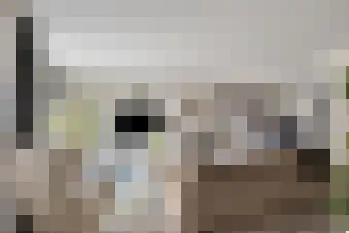 Malevitsjpad 11 Almere thumbnail 17