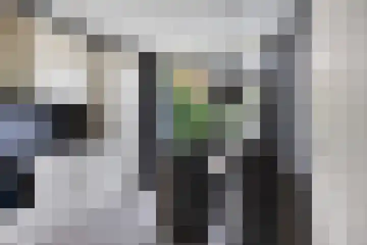 Malevitsjpad 11 Almere thumbnail 20