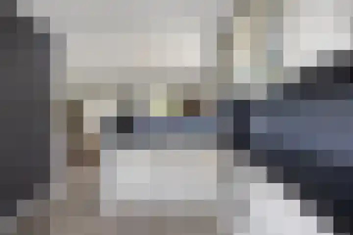 Malevitsjpad 11 Almere thumbnail 21