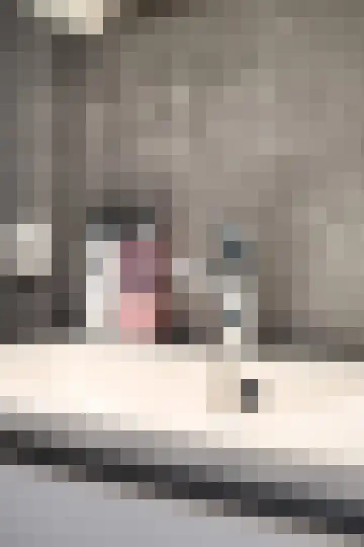 Malevitsjpad 11 Almere thumbnail 31