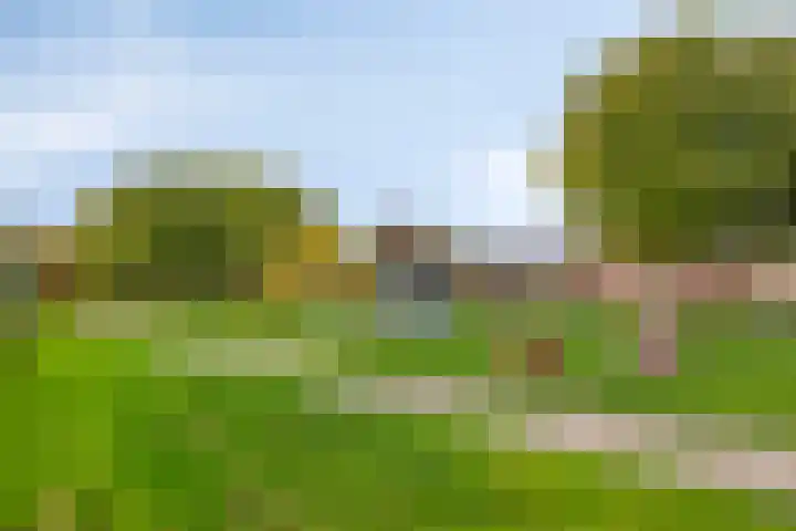Malevitsjpad 11 Almere thumbnail 37