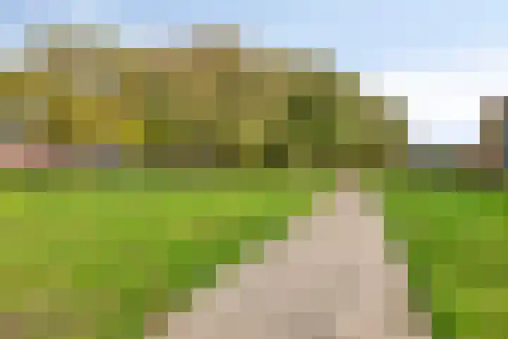 Malevitsjpad 11 Almere thumbnail 38