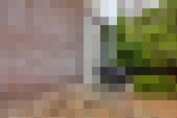 Malevitsjpad 11 Almere thumbnail 5