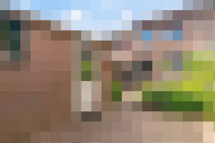 Malherbestraat 10 Venlo thumbnail 24