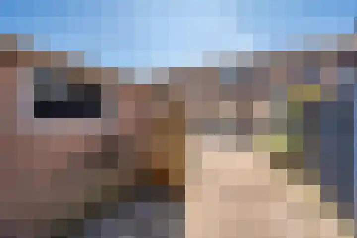 Malherbestraat 6 Venlo thumbnail 42