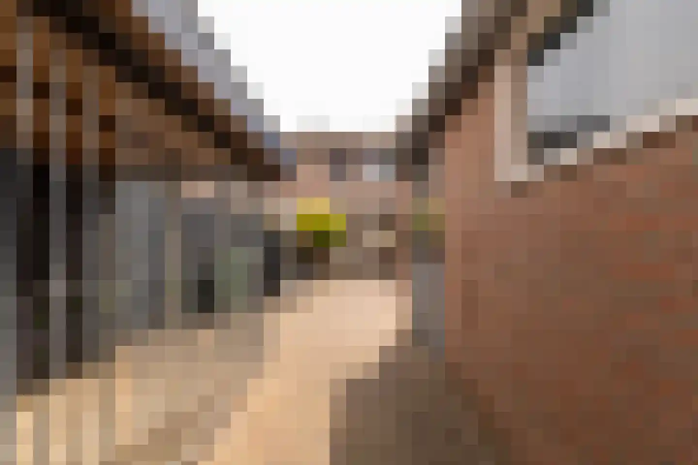 Malherbestraat 8 Venlo thumbnail 12