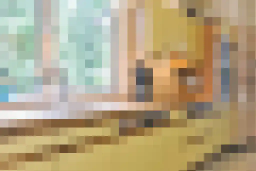 Maliebaan 14 Arcen thumbnail 10