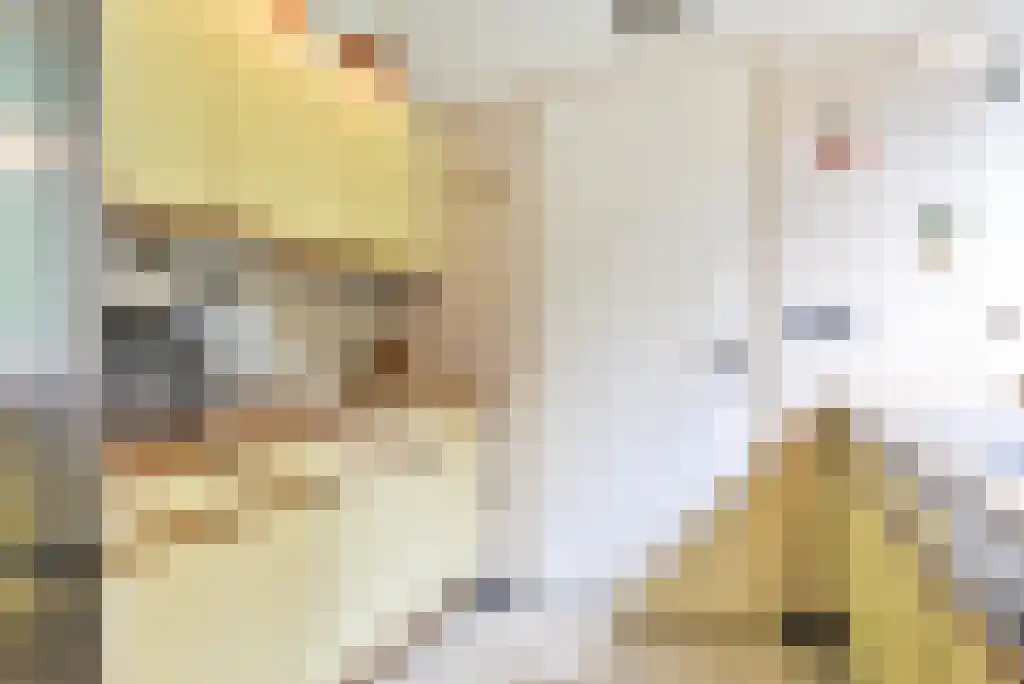 Maliebaan 14 Arcen thumbnail 12
