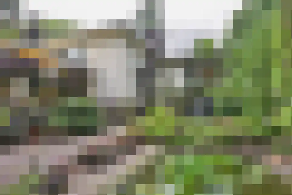 Maliebaan 14 Arcen thumbnail 17