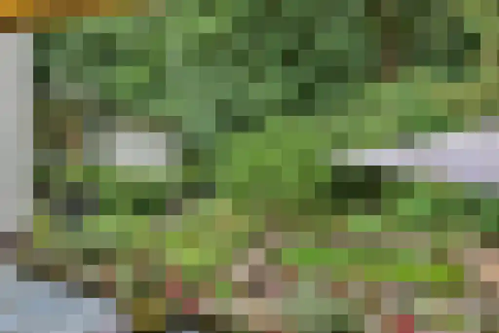 Maliebaan 14 Arcen thumbnail 18