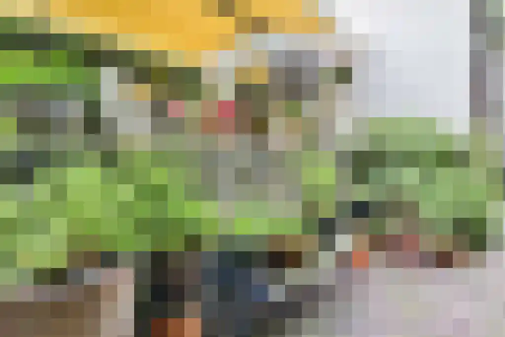 Maliebaan 14 Arcen thumbnail 19