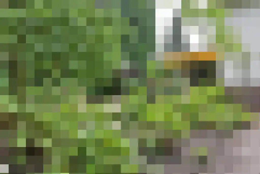 Maliebaan 14 Arcen thumbnail 20