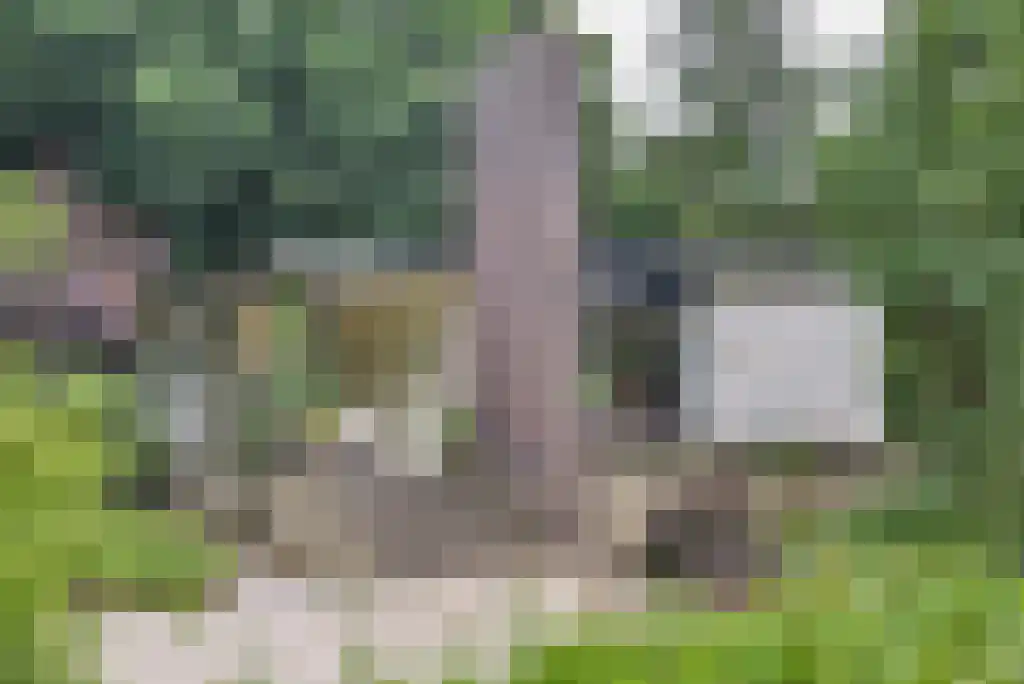 Maliebaan 14 Arcen thumbnail 24