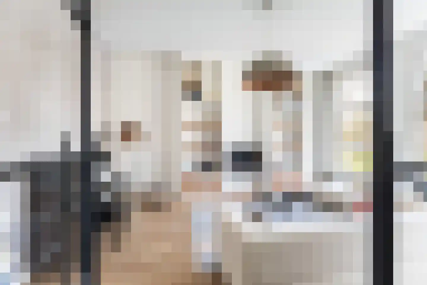 Maliebaan 17 Utrecht thumbnail 12