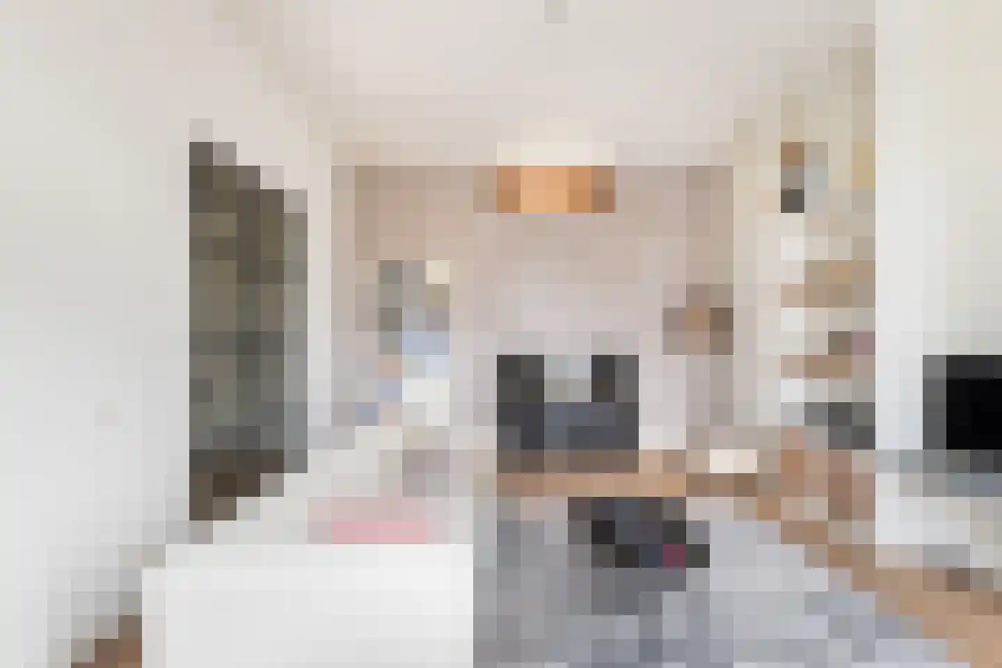 Maliebaan 17 Utrecht thumbnail 14