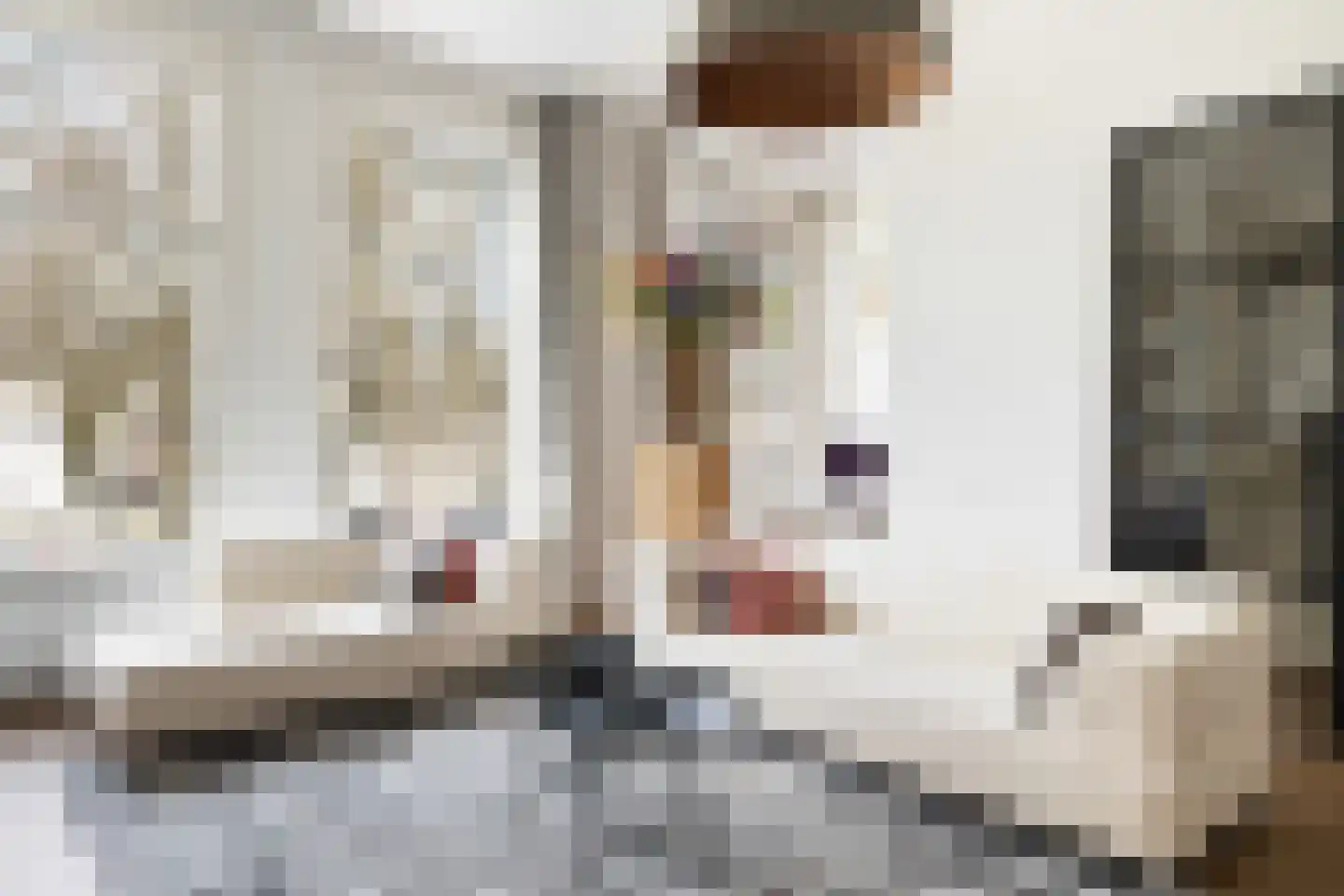 Maliebaan 17 Utrecht thumbnail 16