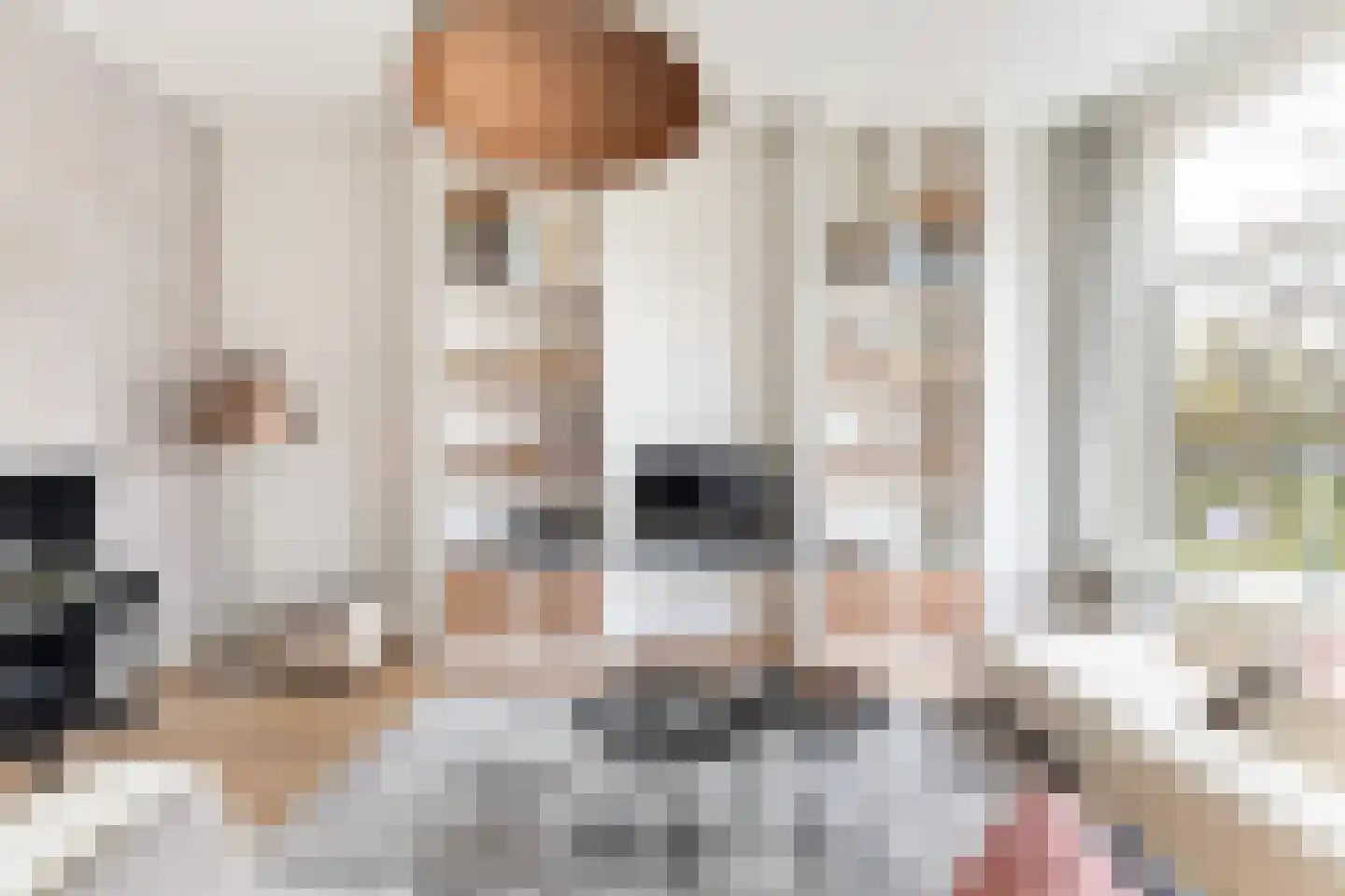 Maliebaan 17 Utrecht thumbnail 17
