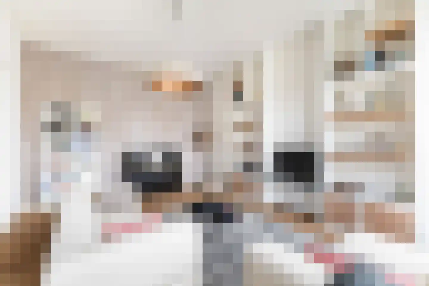 Maliebaan 17 Utrecht thumbnail 19