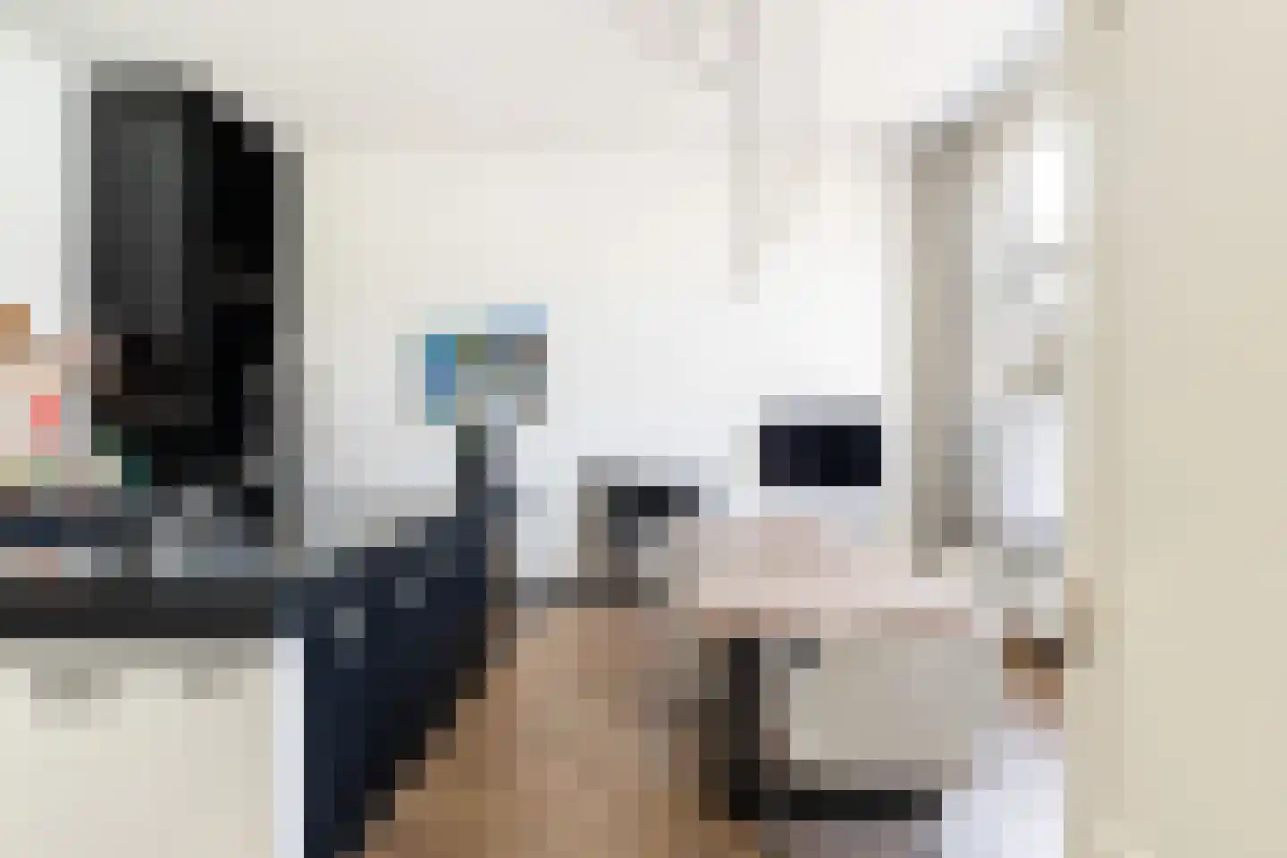 Maliebaan 17 Utrecht thumbnail 28