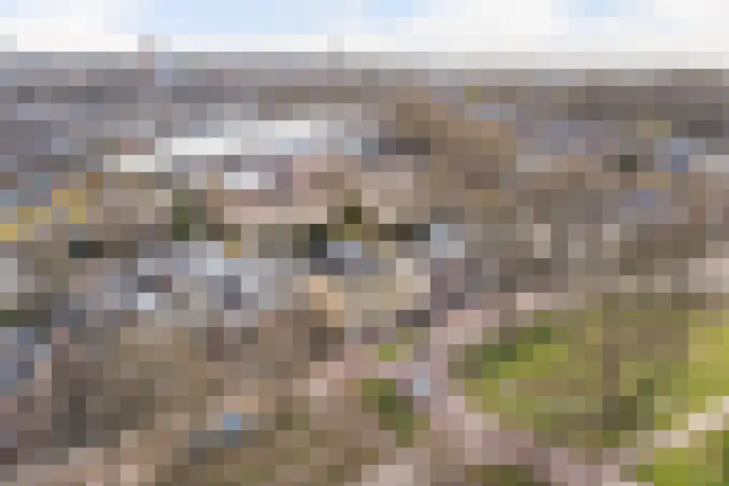 Maliebaan 17 Utrecht thumbnail 5