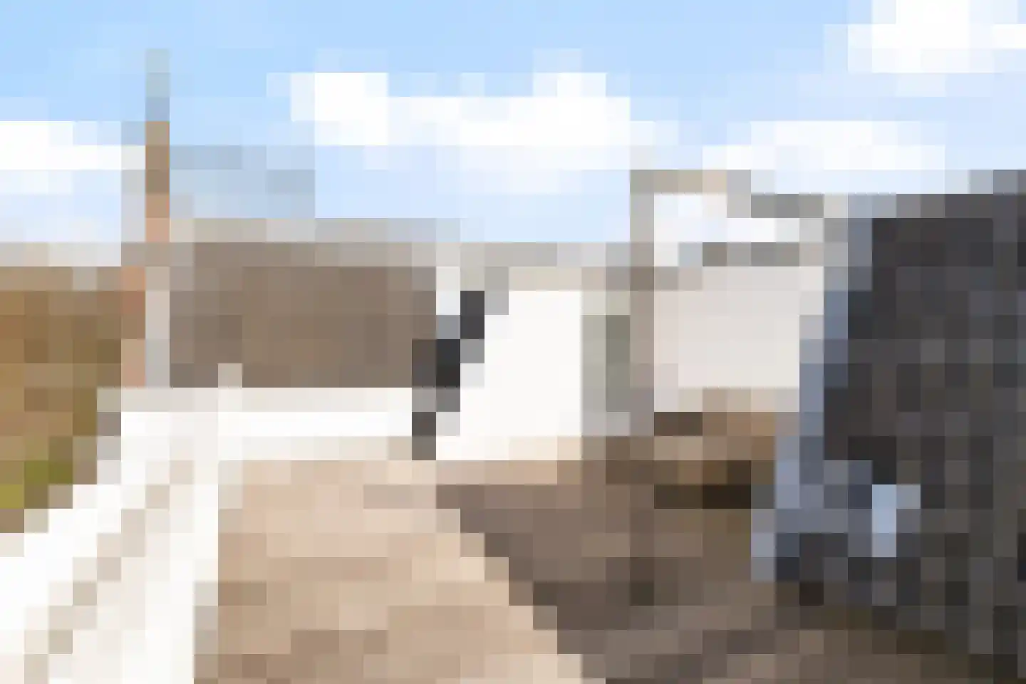Maliebaan 17 Utrecht thumbnail 59