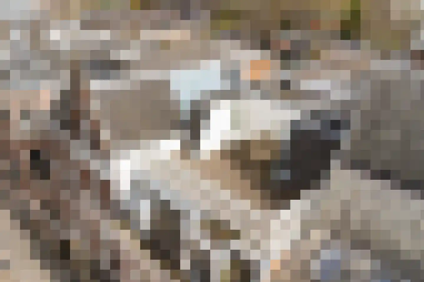 Maliebaan 17 Utrecht thumbnail 62