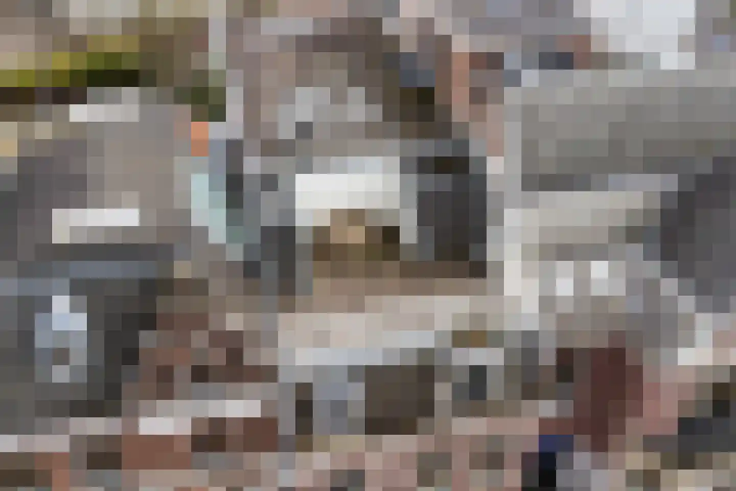 Maliebaan 17 Utrecht thumbnail 63