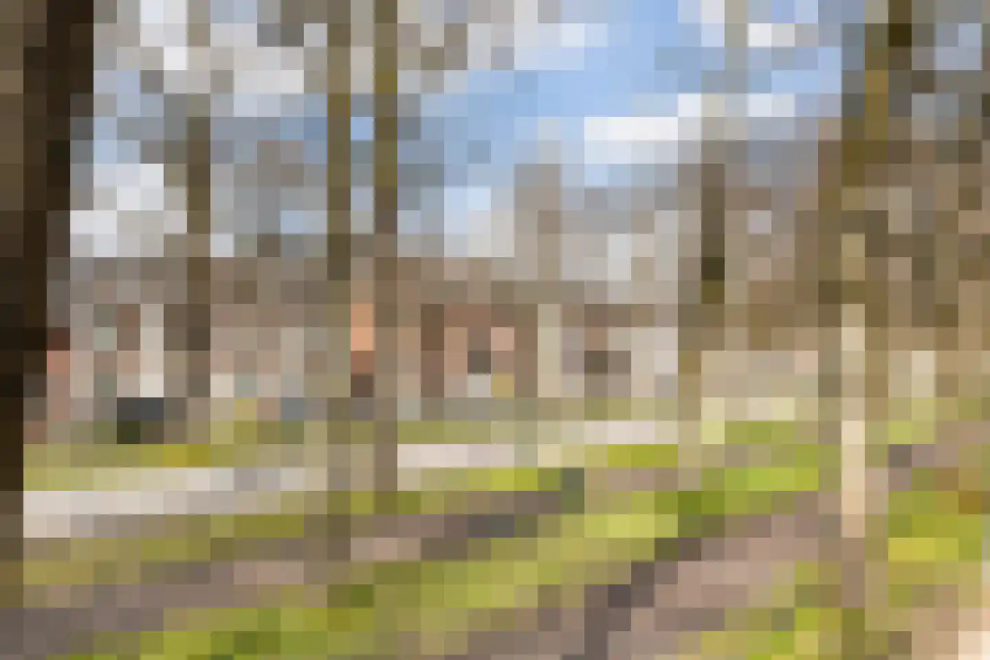 Maliebaan 17 Utrecht thumbnail 66