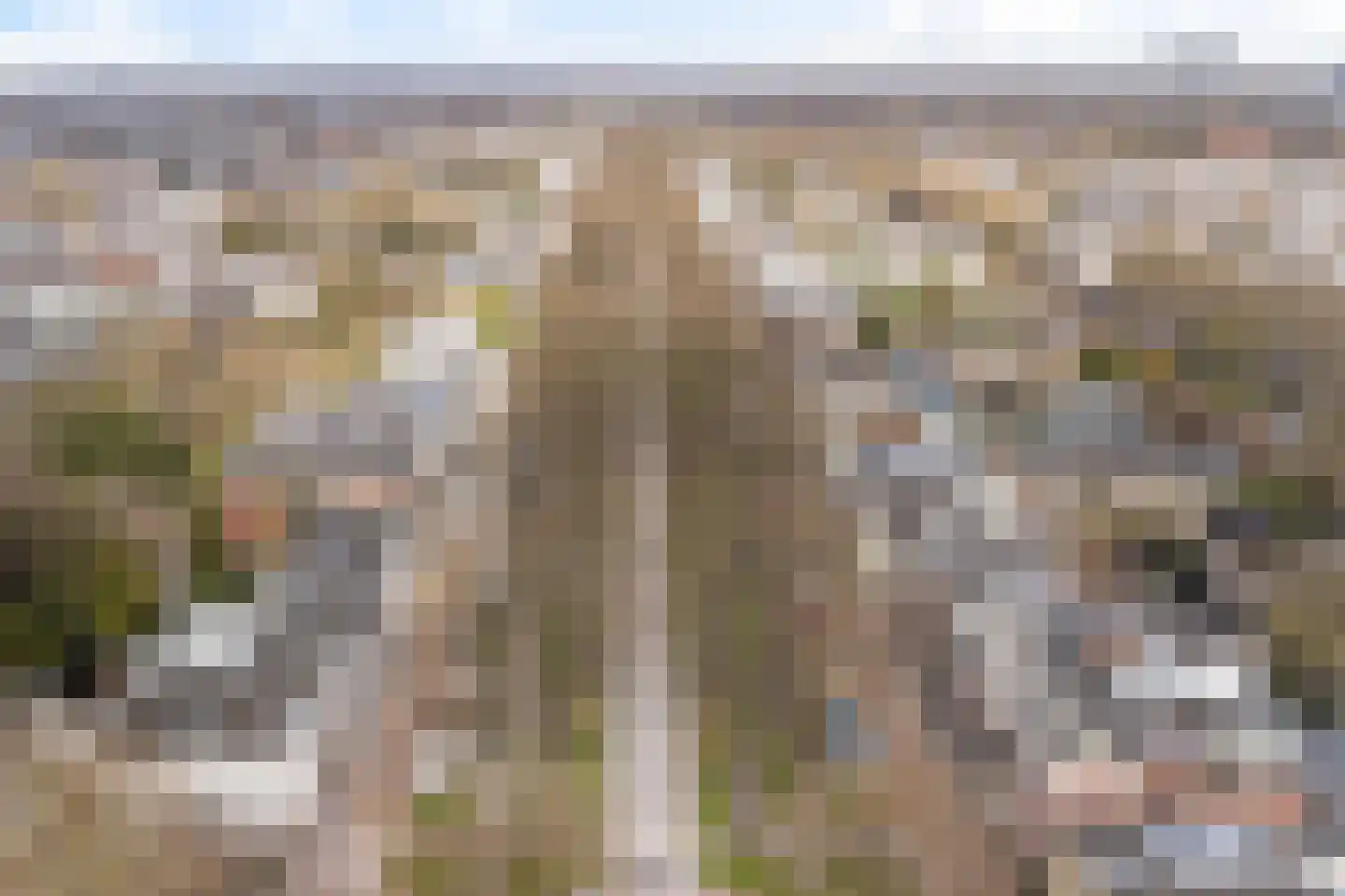 Maliebaan 17 Utrecht thumbnail 75