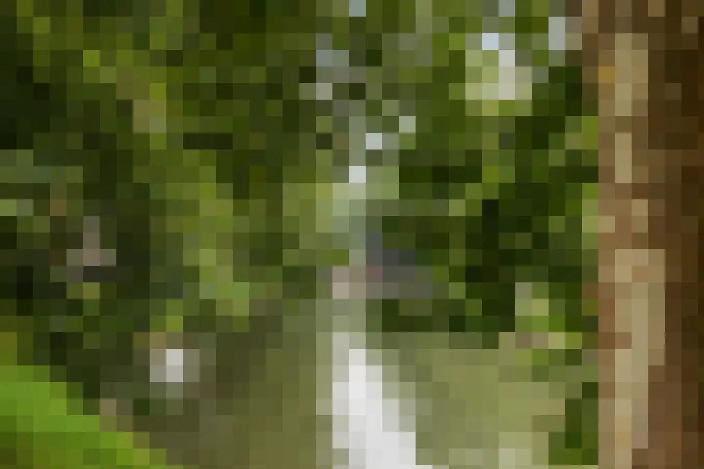 Maliebaan 17 Utrecht thumbnail 76
