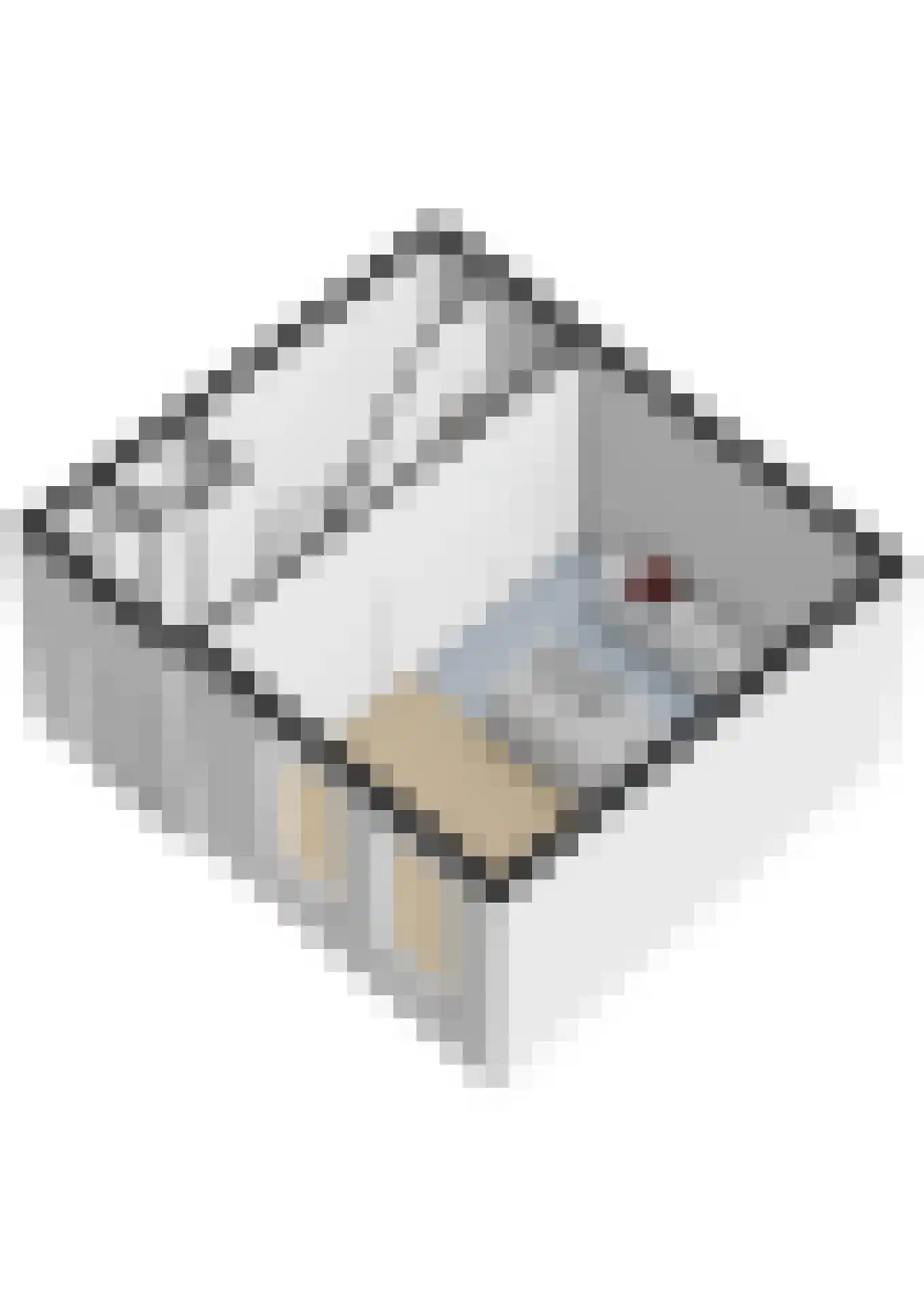 Maliebaan 17 Utrecht thumbnail 84