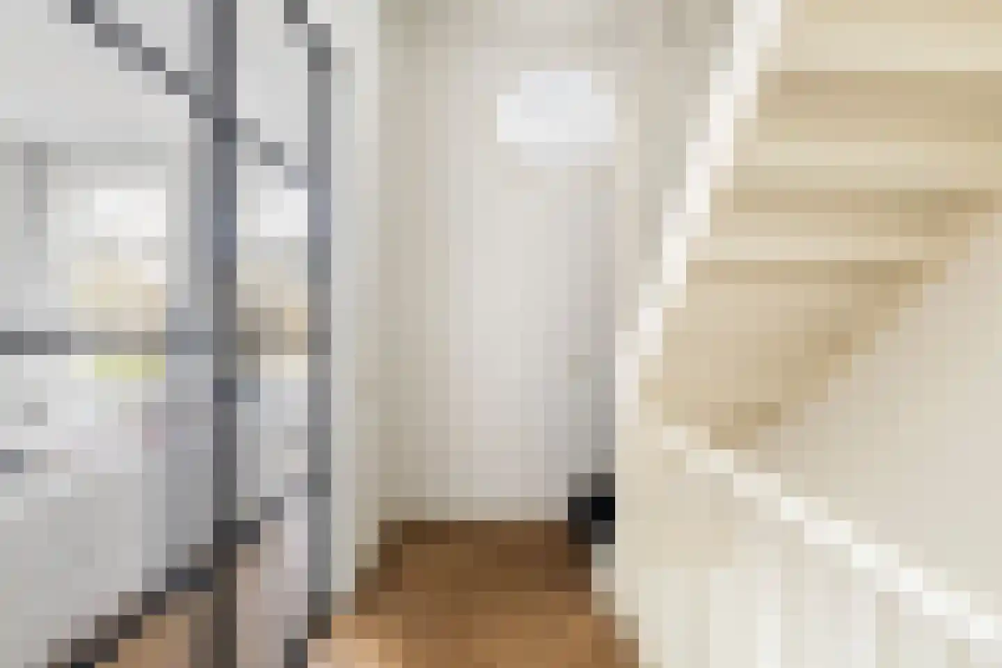 Maliebaan 17 Utrecht thumbnail 9