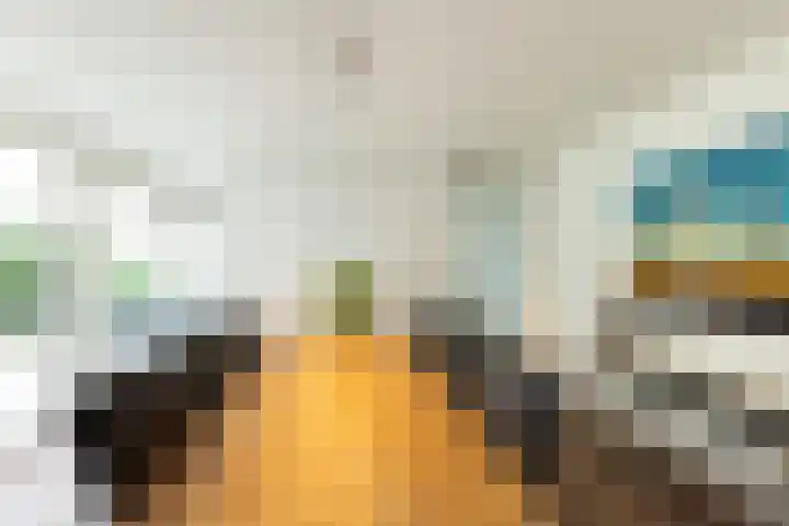 Maliebaan 20 Groenlo thumbnail 12