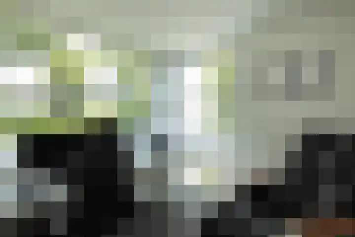 Maliebaan 20 Groenlo thumbnail 21