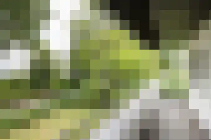 Maliebaan 20 Groenlo thumbnail 40