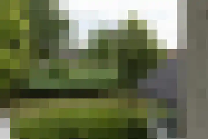 Maliebaan 20 Groenlo thumbnail 41
