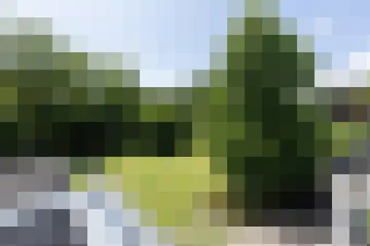 Maliebaan 20 Groenlo thumbnail 45