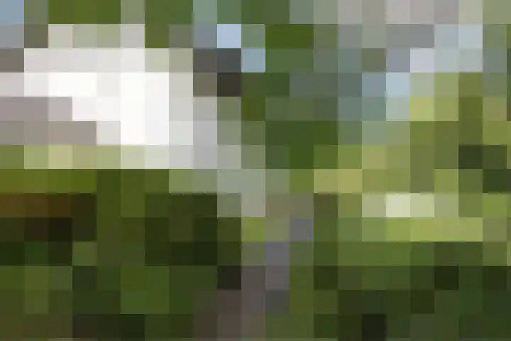 Maliebaan 20 Groenlo thumbnail 57