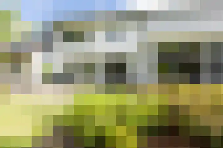Maliebaan 20 Groenlo thumbnail 58