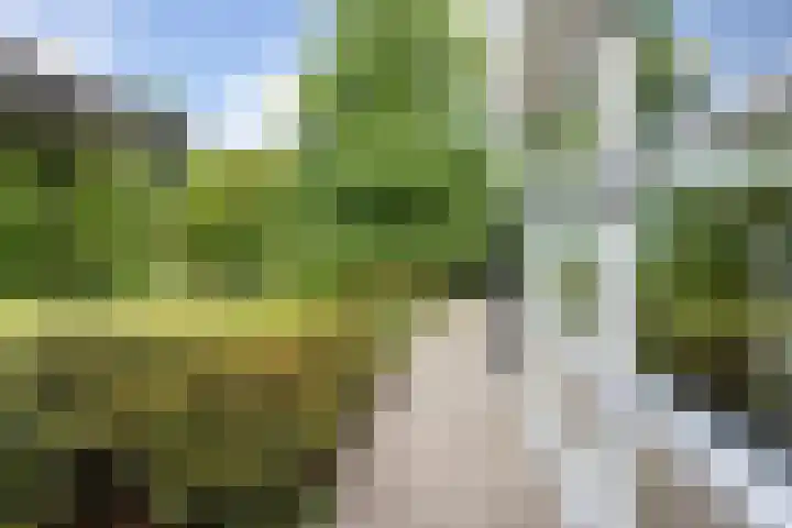 Maliebaan 20 Groenlo thumbnail 60