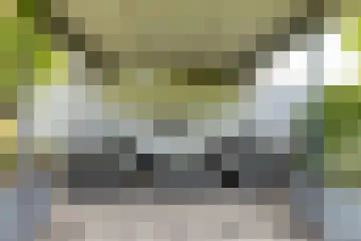 Maliebaan 20 Groenlo thumbnail 61