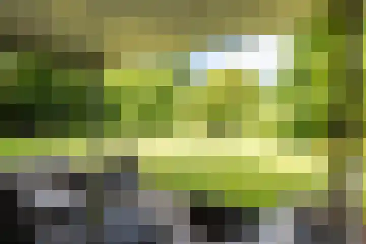 Maliebaan 20 Groenlo thumbnail 62