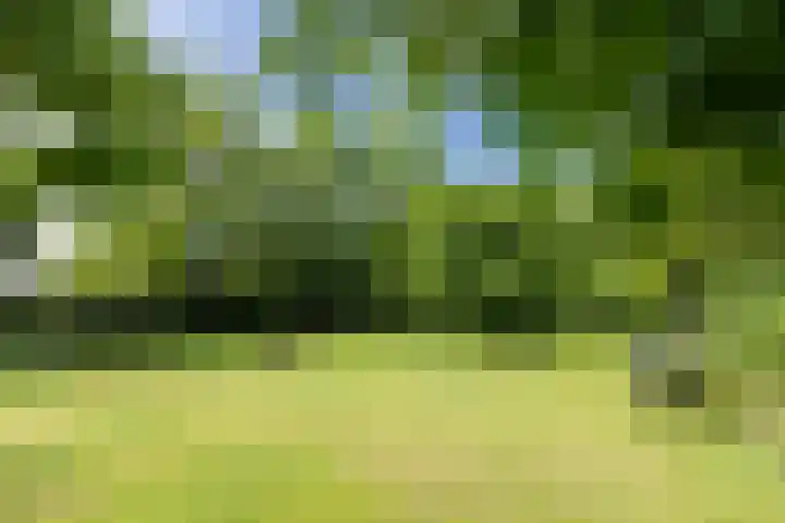Maliebaan 20 Groenlo thumbnail 63