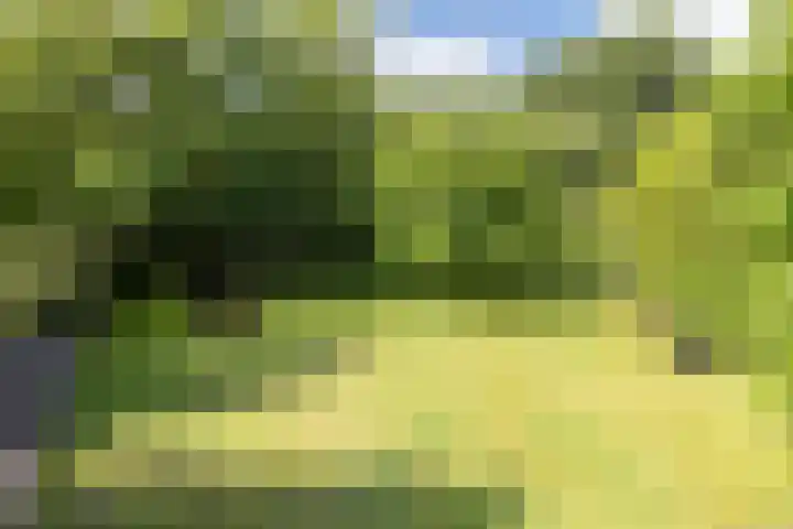 Maliebaan 20 Groenlo thumbnail 64