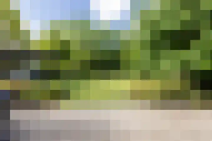 Maliebaan 20 Groenlo thumbnail 65