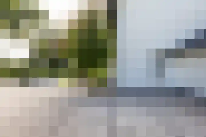 Maliebaan 20 Groenlo thumbnail 68