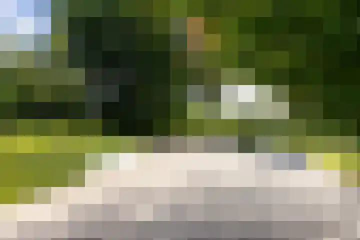 Maliebaan 20 Groenlo thumbnail 71