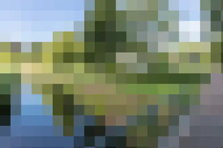 Maliebaan 20 Groenlo thumbnail 72