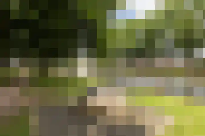Maliebaan 20 Groenlo thumbnail 73