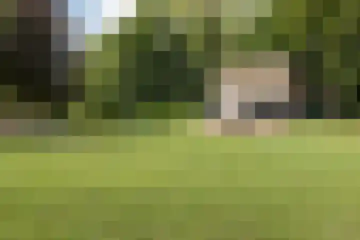 Maliebaan 20 Groenlo thumbnail 74